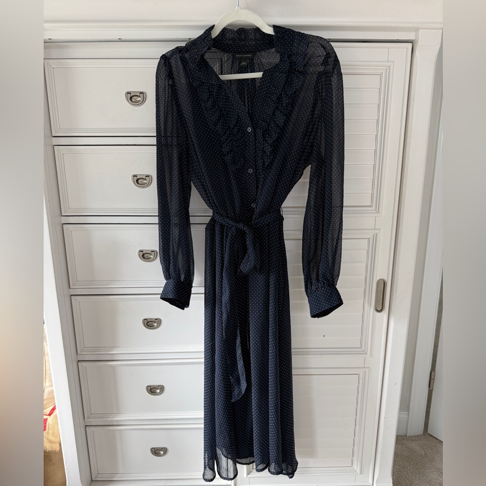 Banana Republic Navy Sheer Dress with Polka Dots